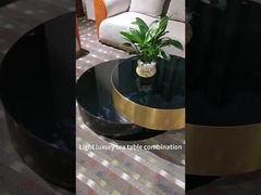 Mesa de centro de aço inoxidável da sala de visitas do hotel do vidro temperado da parte alta moderna