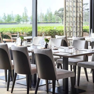 Tela moderna do espaldar da cadeira do restaurante da madeira maciça estofada jantando a cadeira